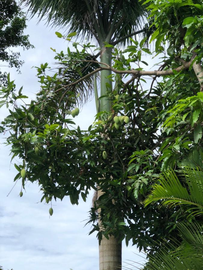 Huong Tram Homestay Ho Da 外观 照片