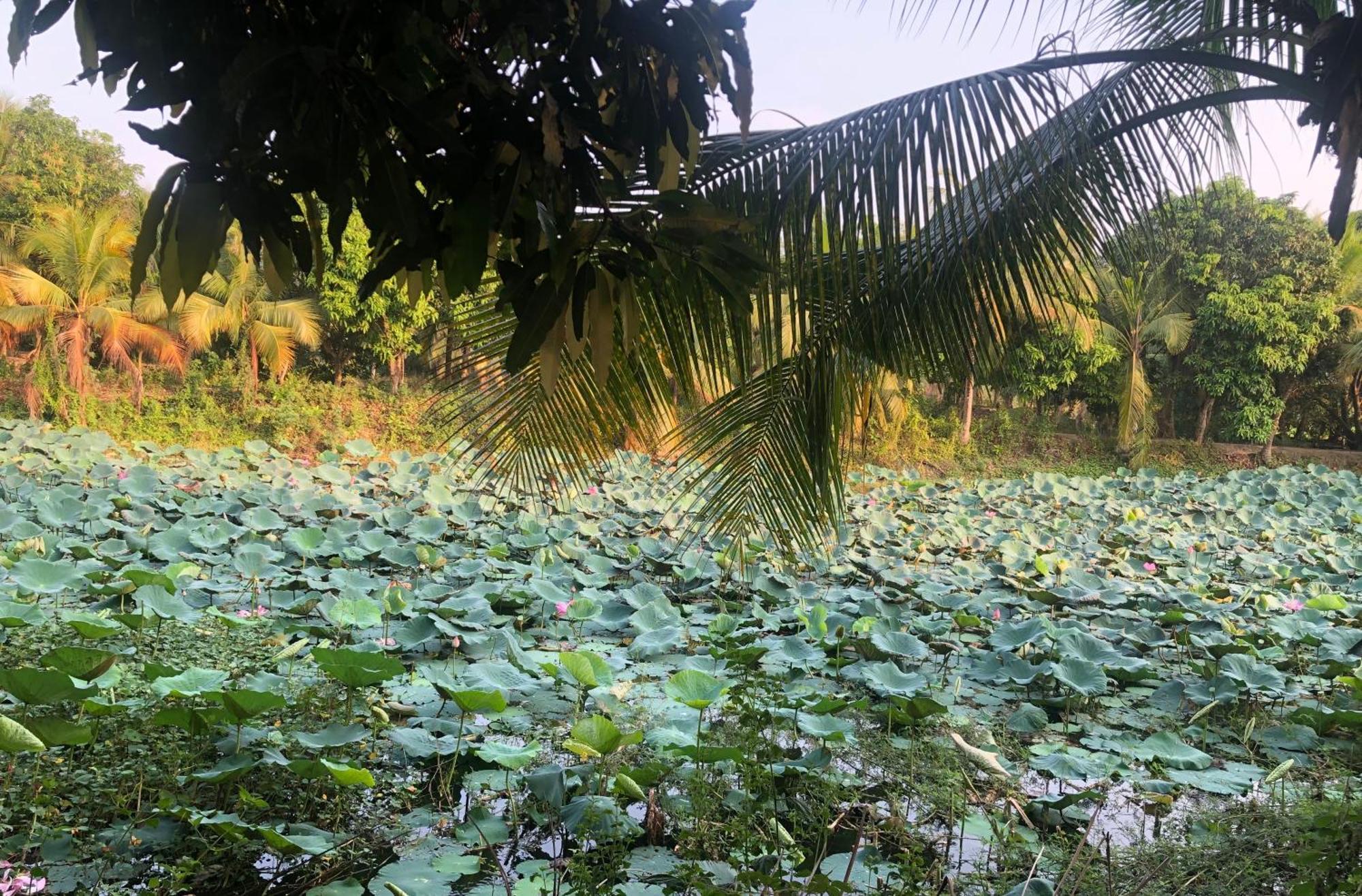 Huong Tram Homestay Ho Da 外观 照片