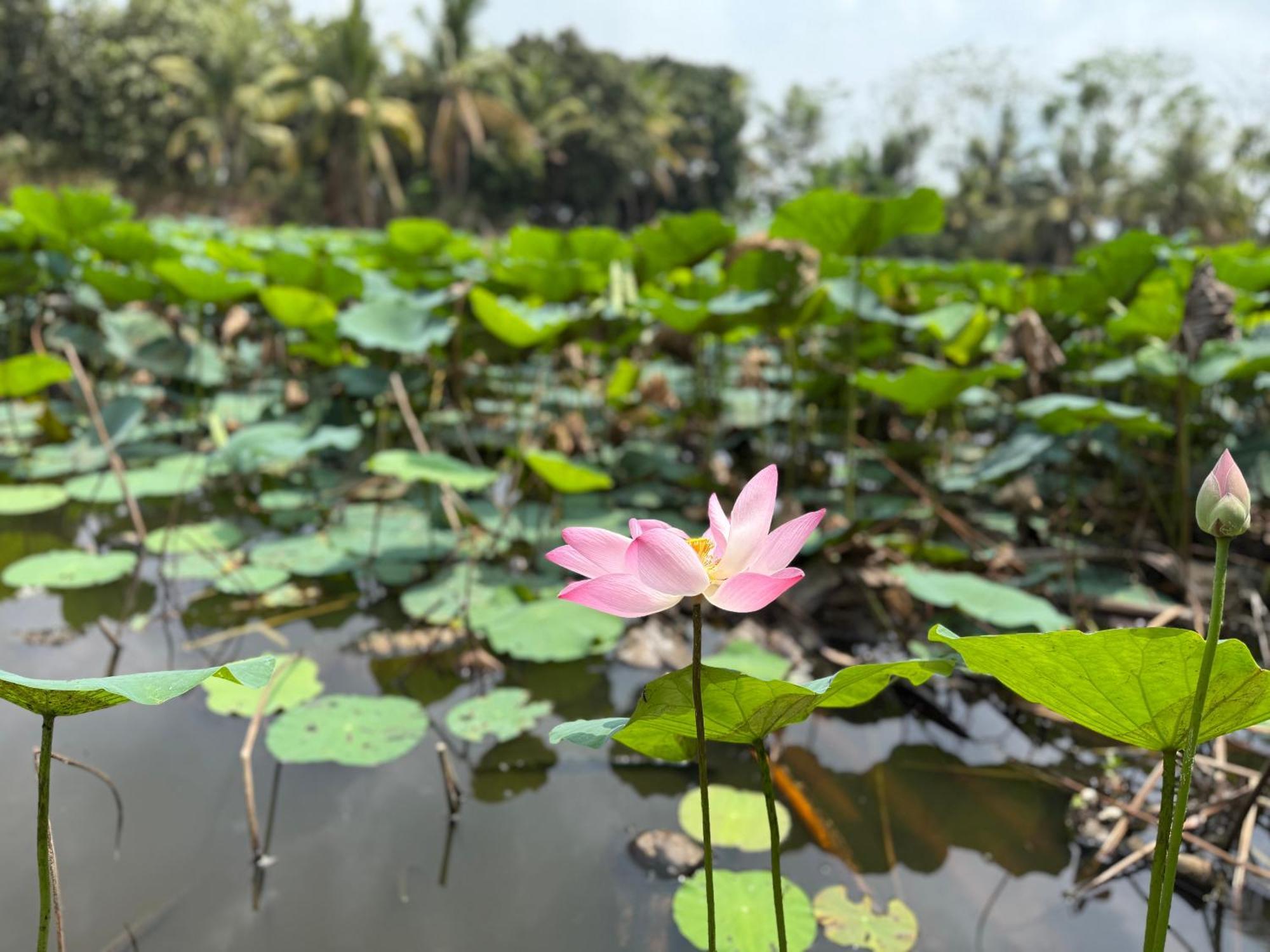 Huong Tram Homestay Ho Da 外观 照片