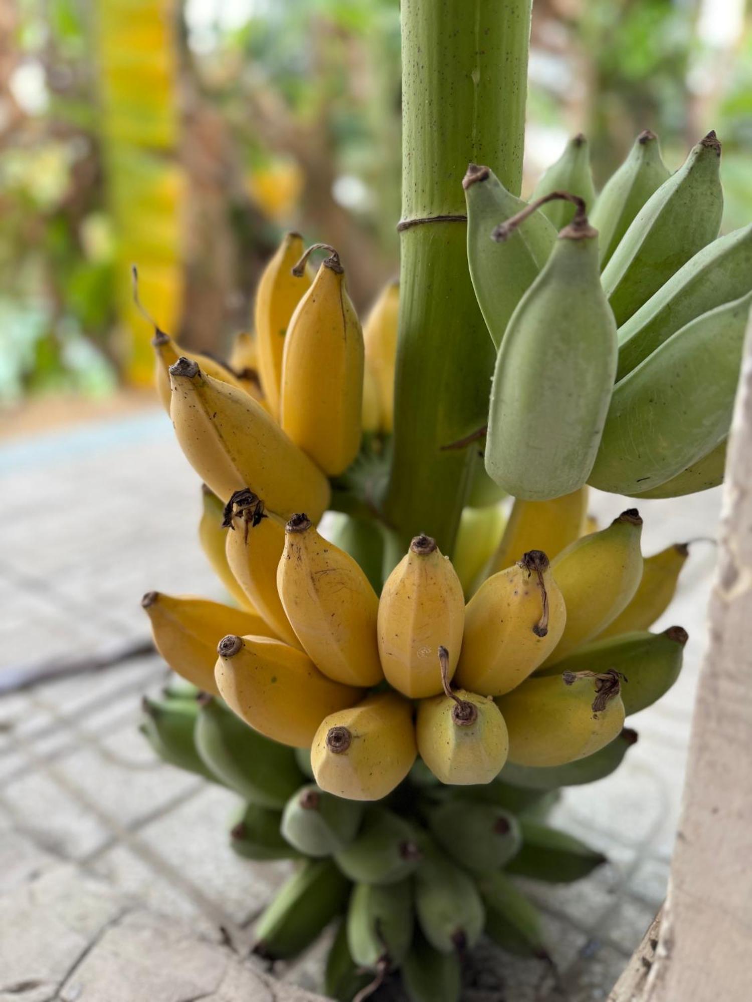 Huong Tram Homestay Ho Da 外观 照片